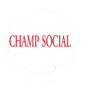 Champ Social Formations